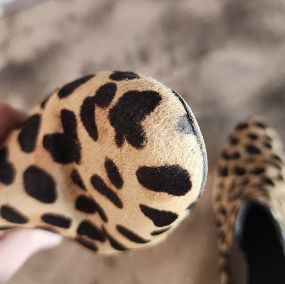 Tory Burch Boots Leopard Print Calf-Hair Chelsea Ankle Bootie 6 - Picture 12 of 15